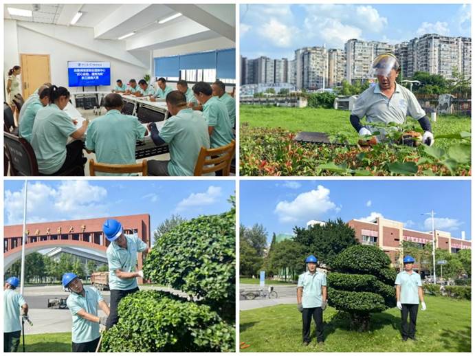 绿化比拼