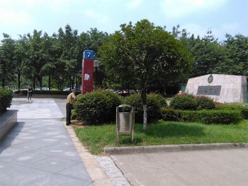 11(2).jpg 11(2).jpg