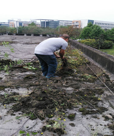 水电保障中心铲除一号高压开关站楼顶泥土确保雨季排水畅通22.jpg