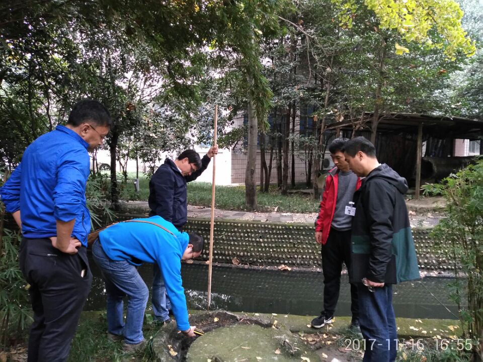 1510912313944014801.jpg 5.jpg