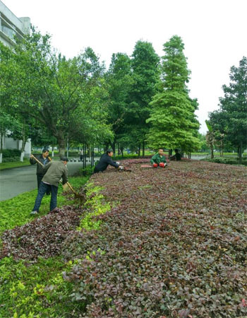 美化校园校园物业一直在路上22.jpg