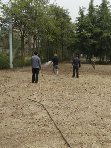 校园新貌-荒地变草坪33.jpg