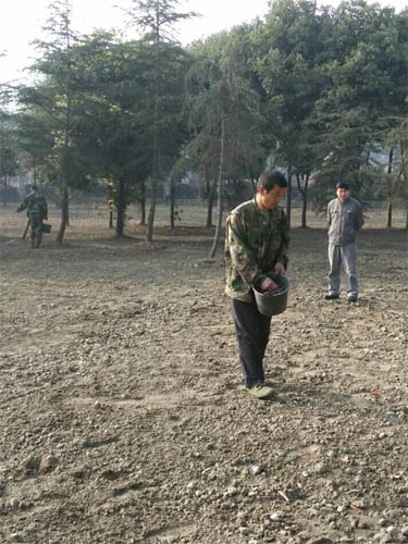 校园新貌-荒地变草坪22.jpg